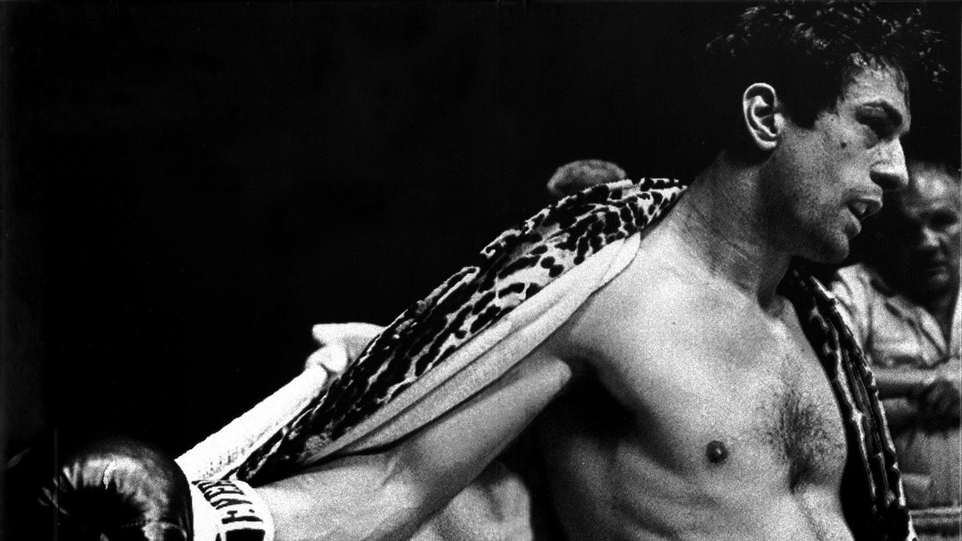 essay on raging bull essay on raging bull