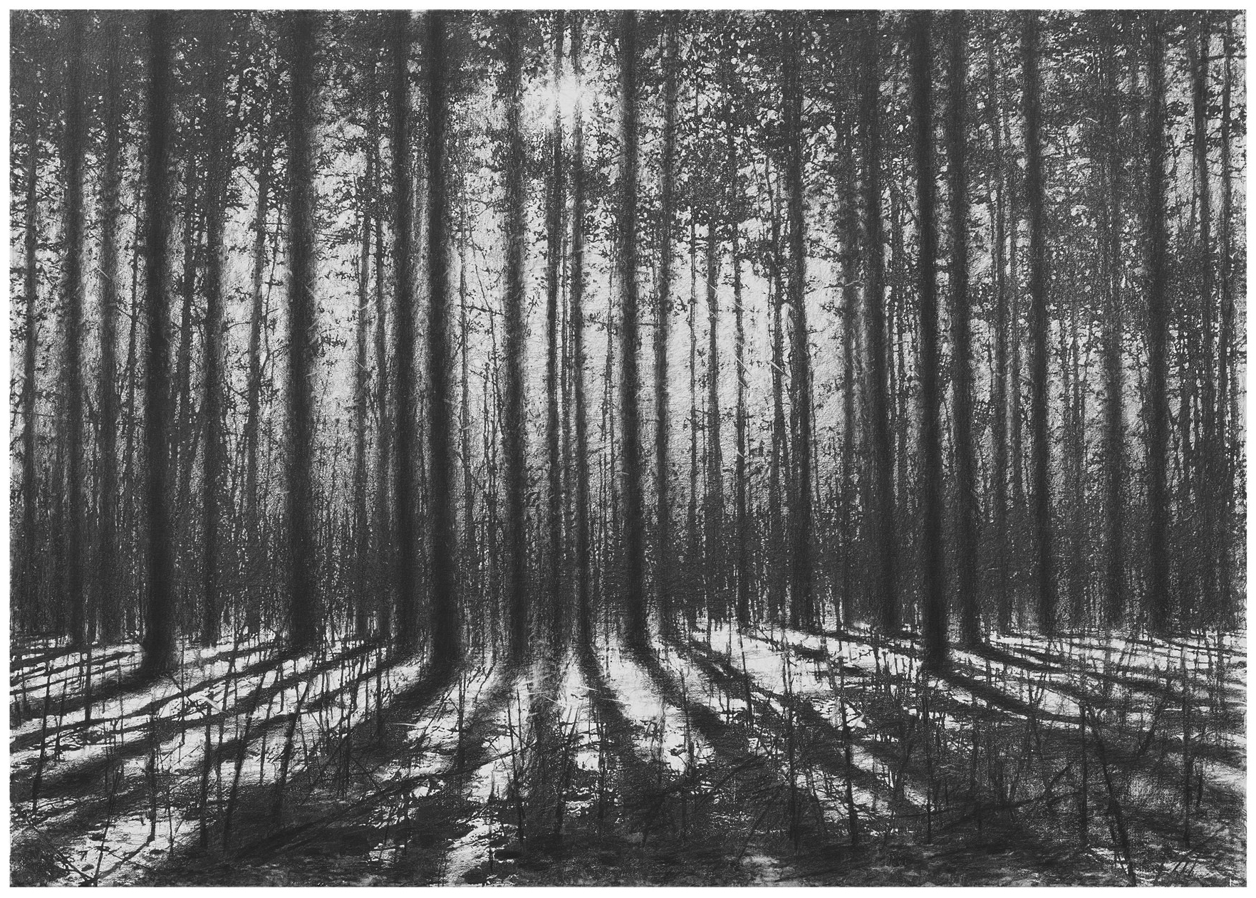 Даня Акулин. Пенумбра – афиша