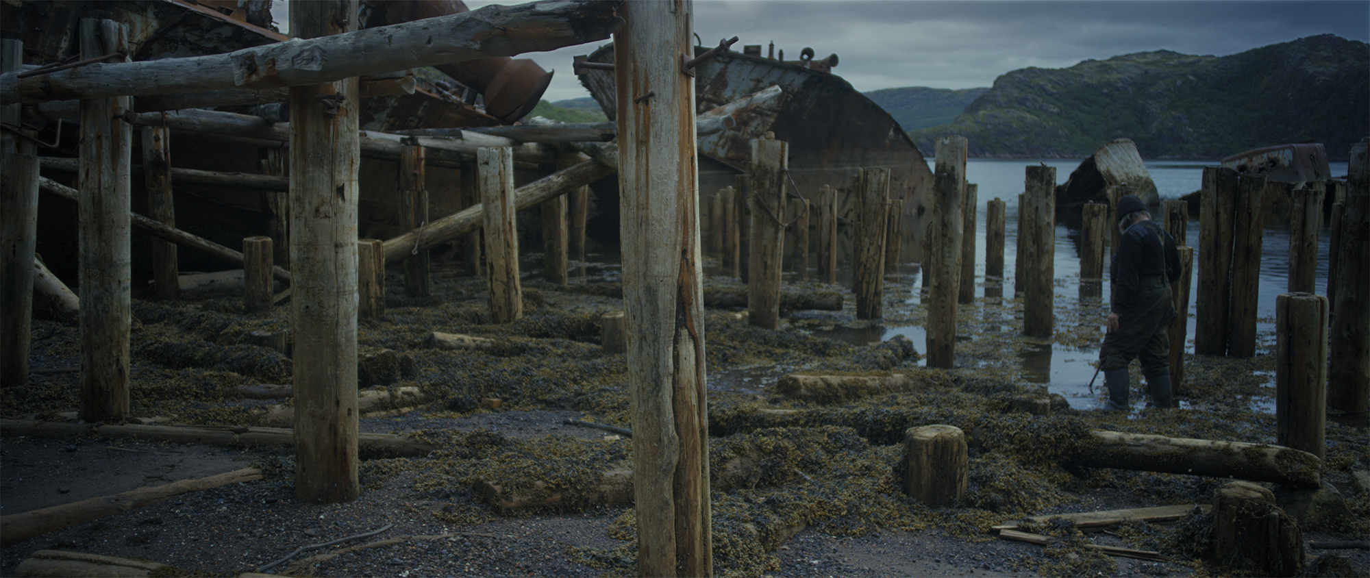 Пена – афиша