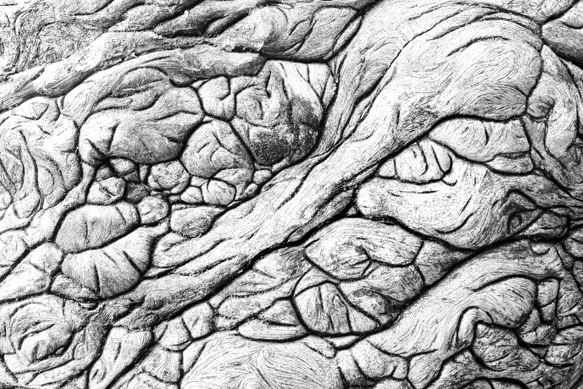 Первозданная Россия-2022 – афиша