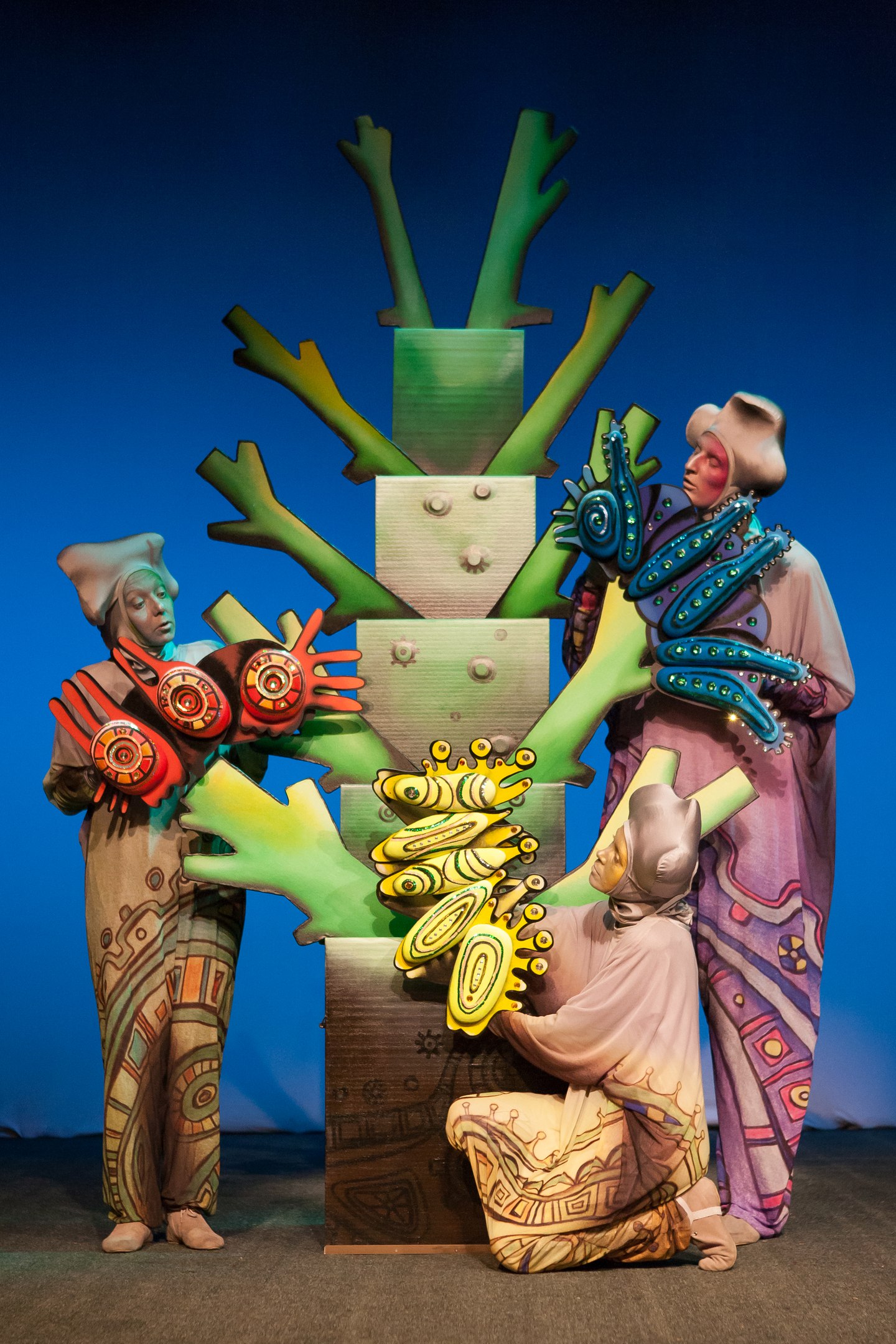 История бабочки – афиша