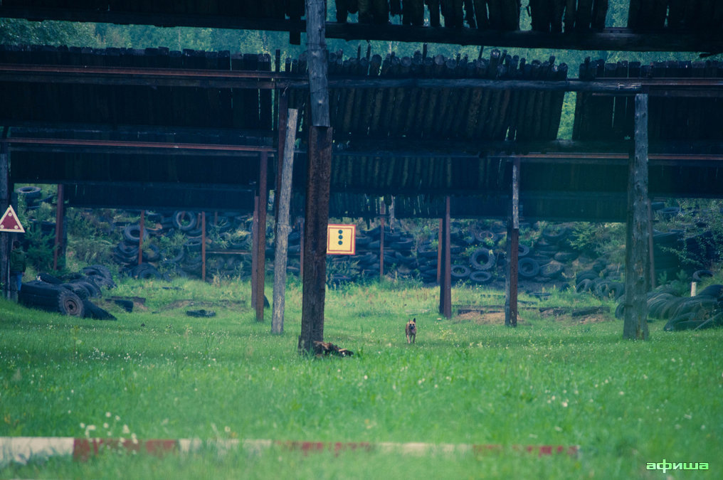 Путевка в жизнь – афиша