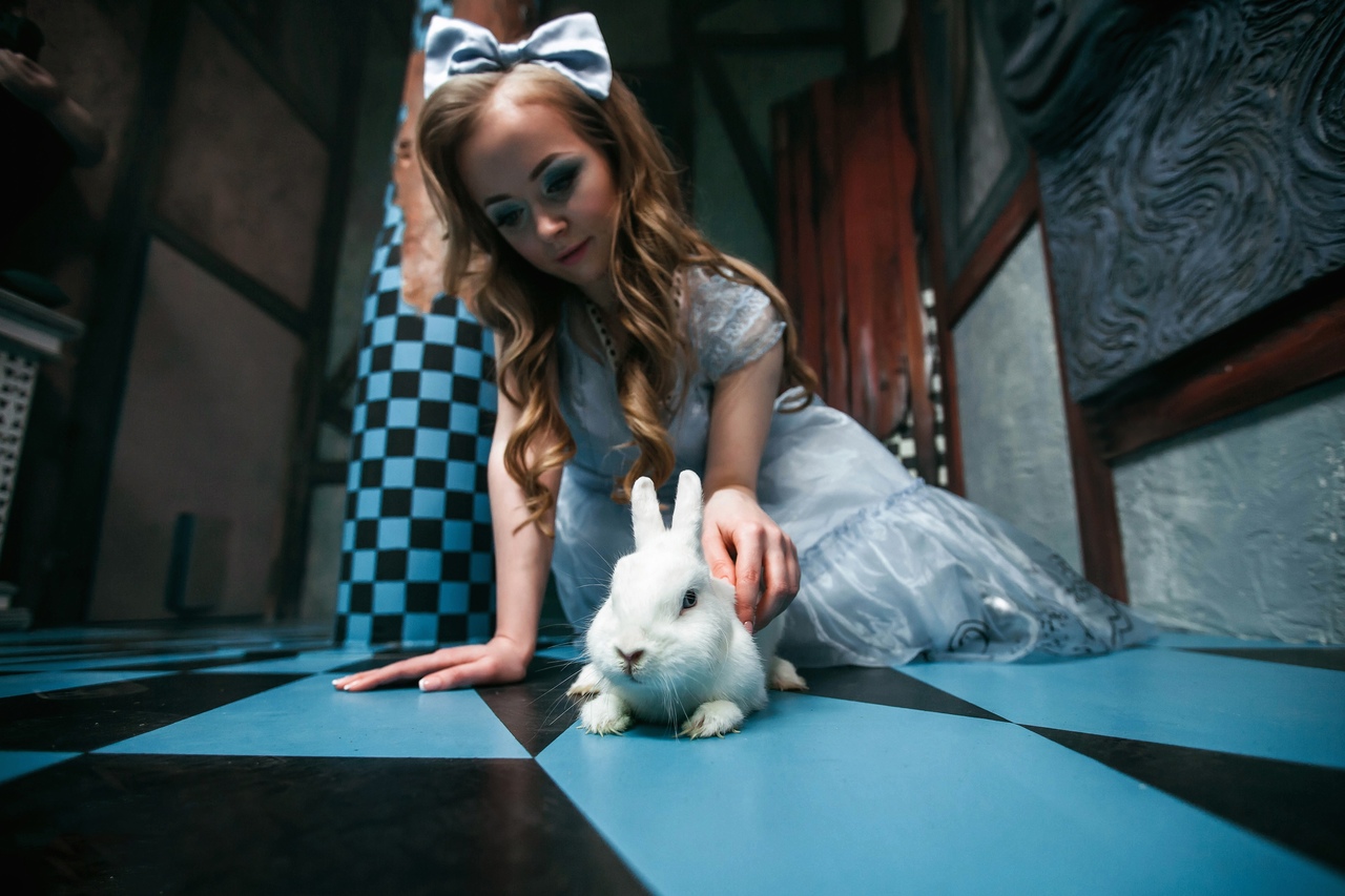 Квест «Алиса в Стране Чудес» – афиша