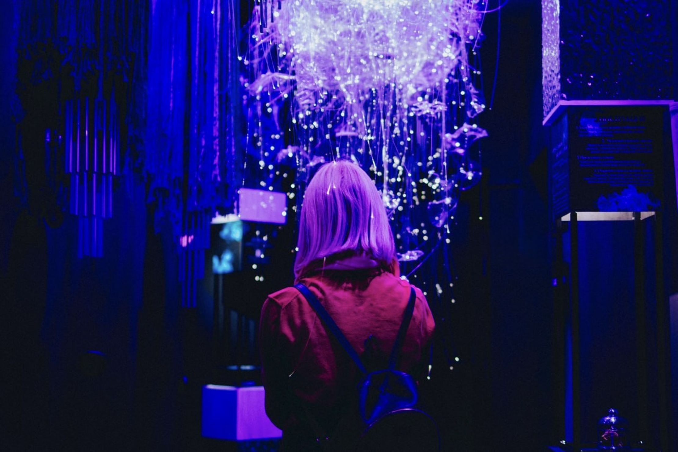 Sense. Почувствуй стихии – афиша