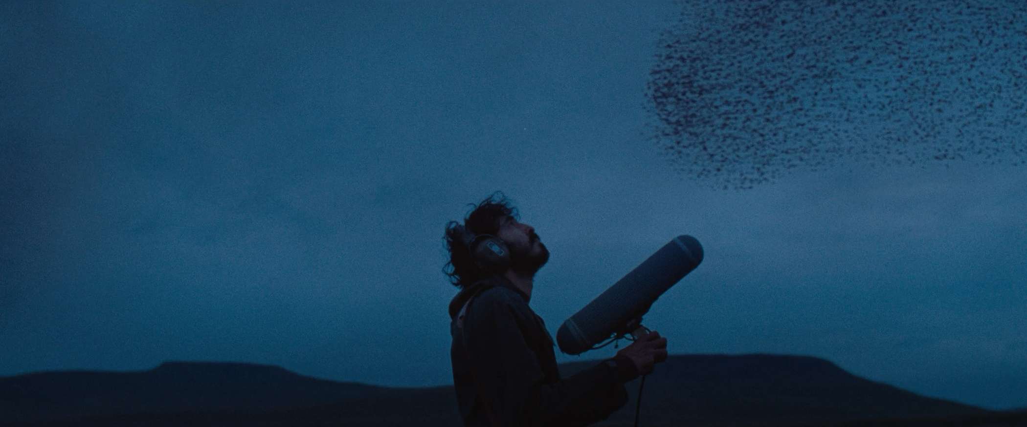 Ловушка для кролика – афиша