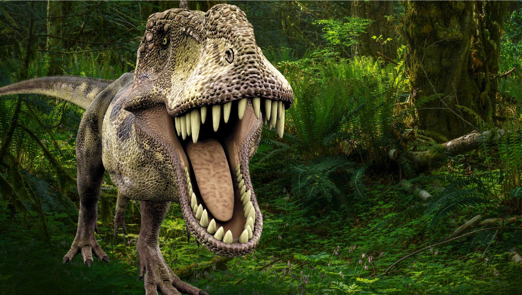 Осторожно, динозавры! – афиша
