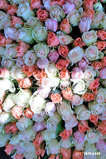 Во Имя Розы Магазин Цветов Официальный Сайт