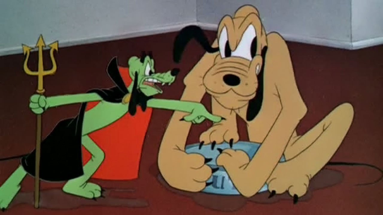 Дай лапу – афиша