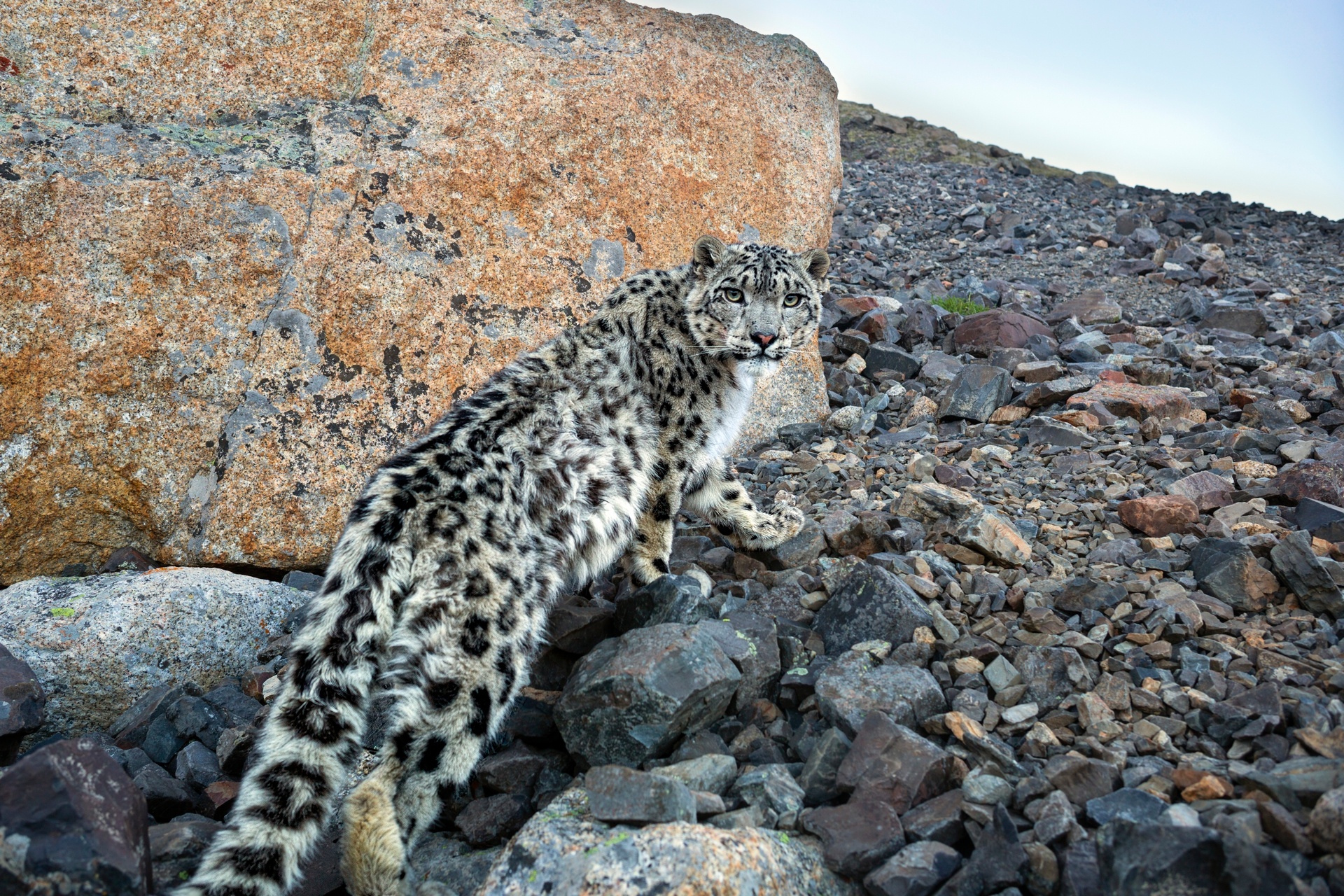 Первозданная Россия-2022 – афиша