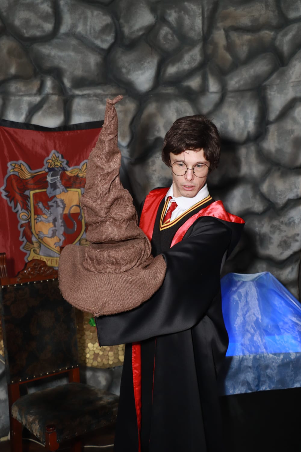 Гарри Поттер и сердце волшебника – афиша
