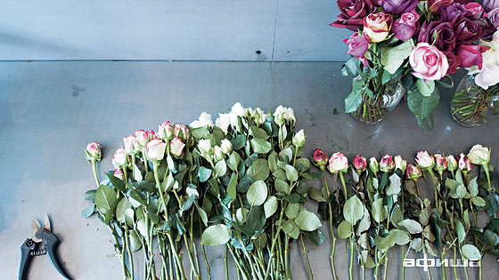 Во Имя Розы Магазин Цветов Официальный Сайт