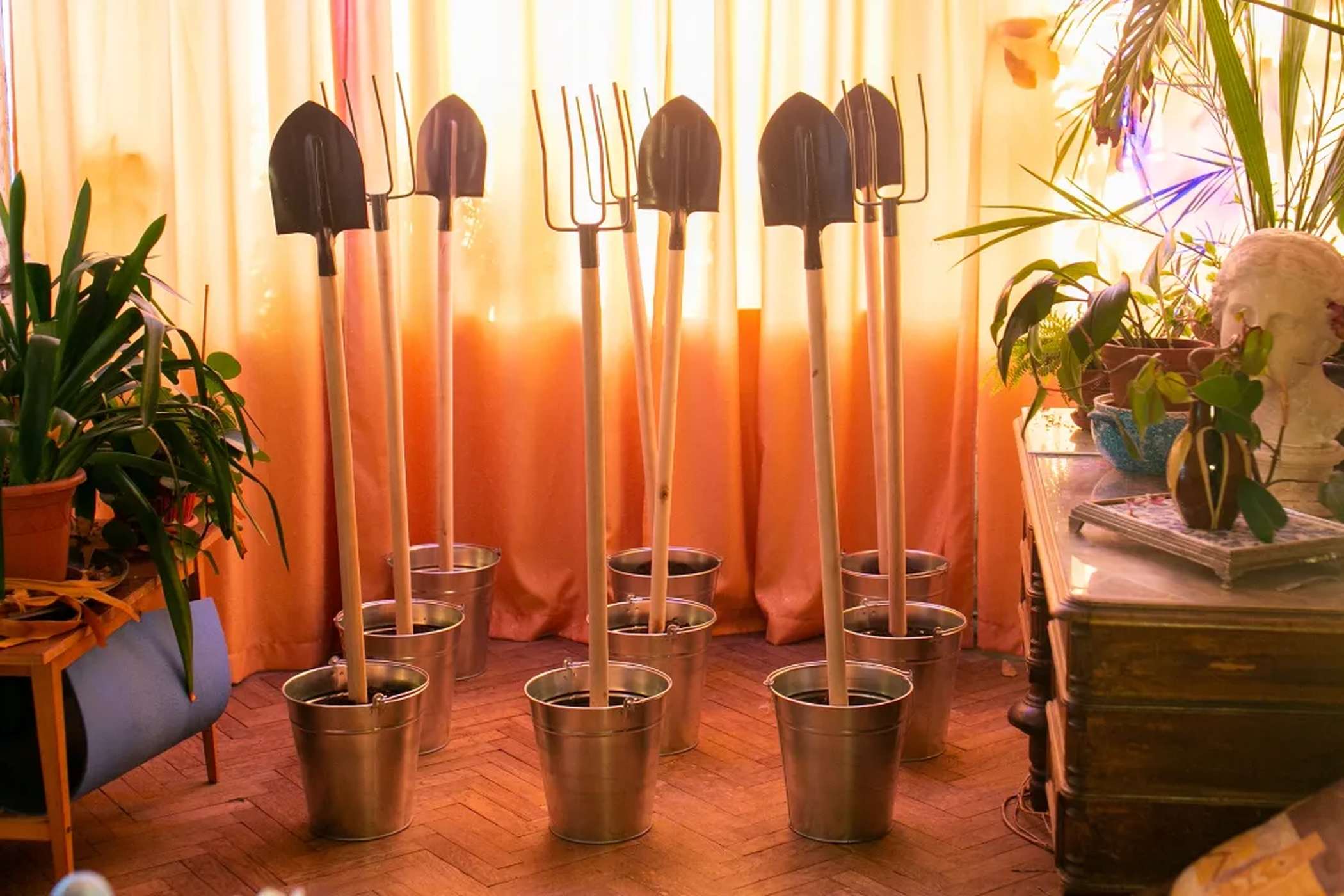 Анна Смирнова. Ложный лес – афиша