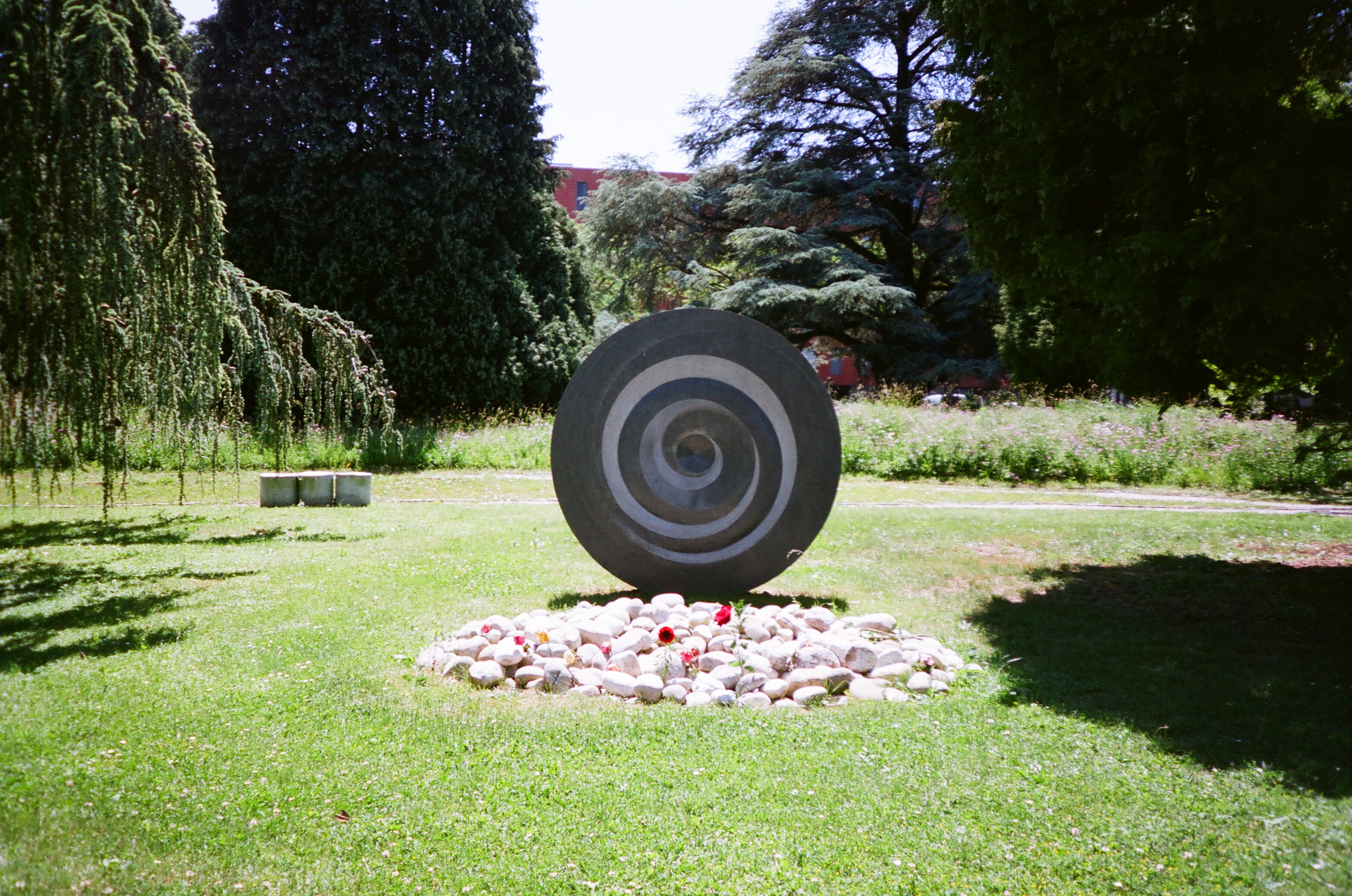 Саша Ковалева. Pushing Up the Wild Daisies/Корнями в песок – афиша