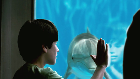 История дельфина 3D – афиша