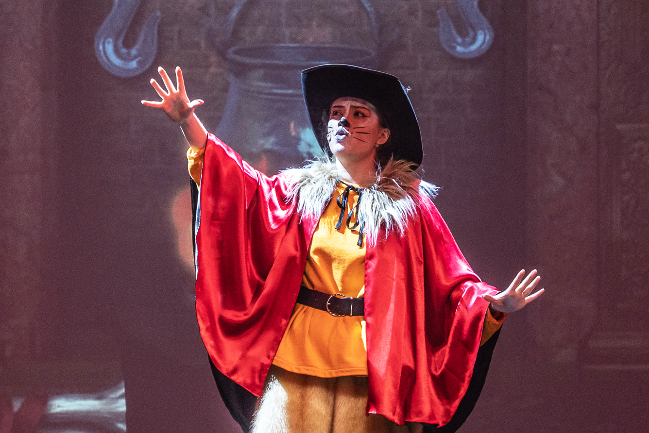 Секрет Кота в сапогах – афиша