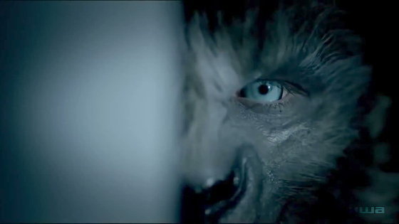 Волки – афиша