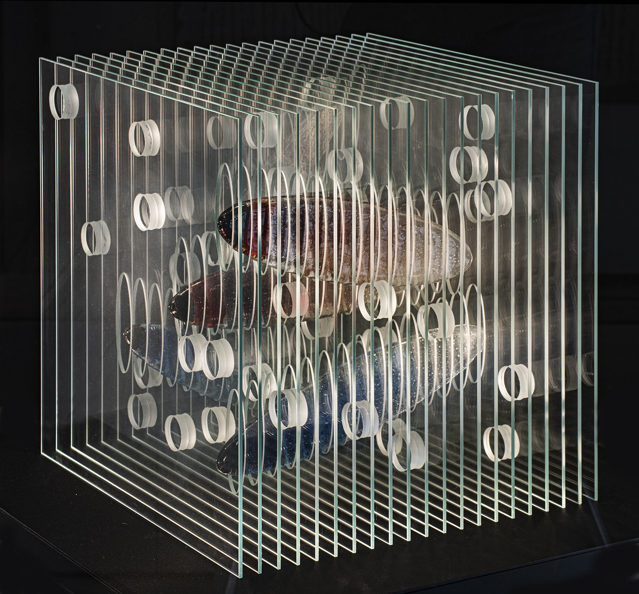 Выставка Олеся Кот. Прозрачный мир, Санкт-Петербург – Афиша-Музеи