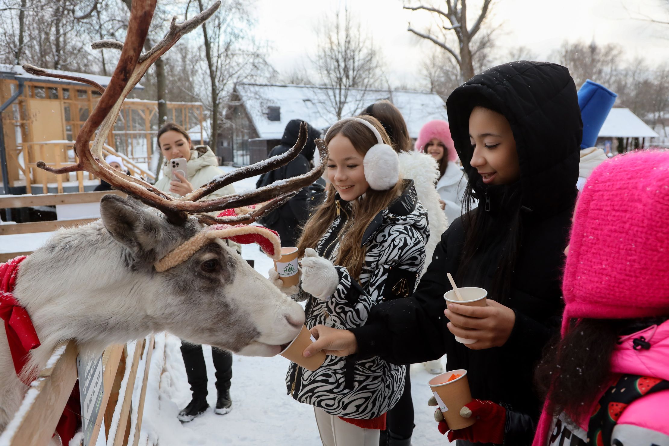 Волшебные звери Деда Мороза в Резиденции Деда Мороза на Городской Ферме ВДНХ – афиша