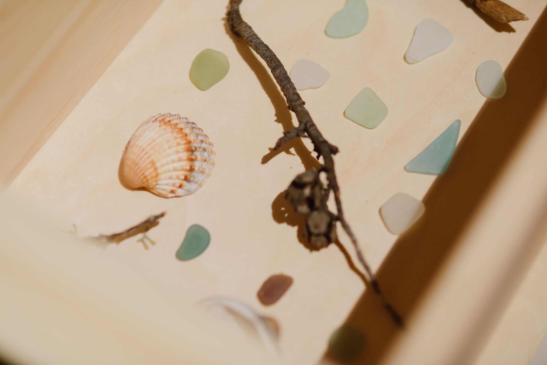 Коллекция. Порядок вещей – афиша