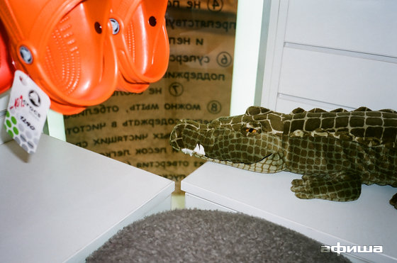 Crocs – афиша