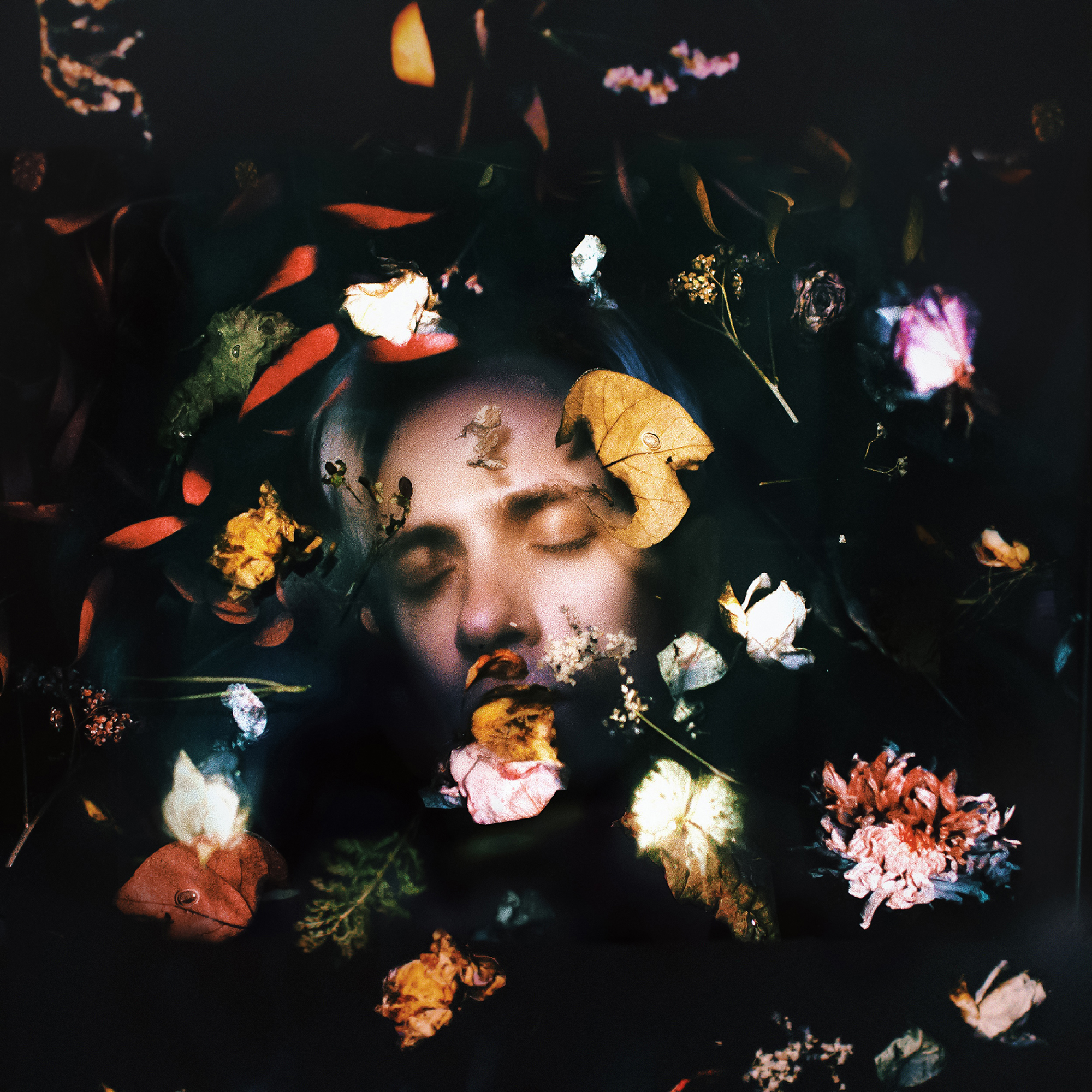 Юлия Майорова. Режим тишины – афиша