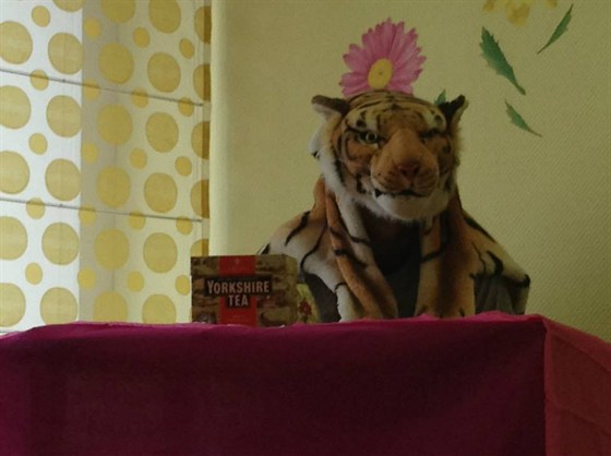 Тигр, который пришел выпить чаю – афиша
